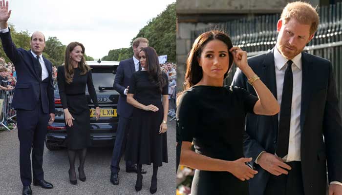 Meghan Markle sidelined by Prince Harry in shocking reuinon with William, Kate