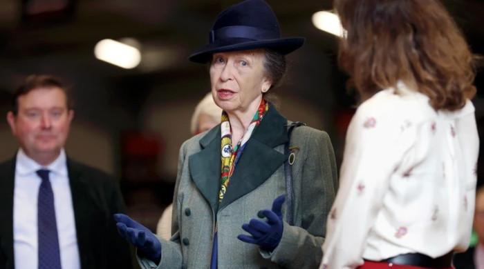 Princess Anne’s horse incident ‘could have had devastating consequences’