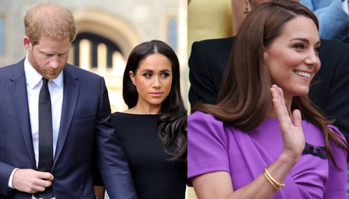 Prince Harry, Meghan Markle receive stern warning amid Kates return