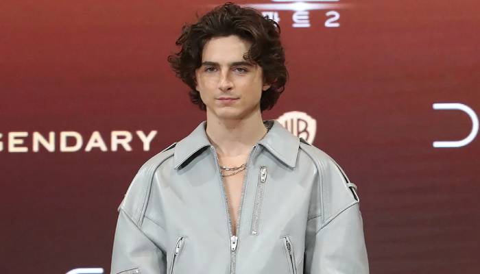 Timothée Chalamet to star and produce in upcoming Marty Supreme