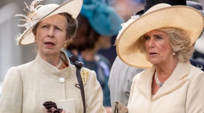 Queen Camilla suffers injury following Princess Anne’s incident: ‘security scare’