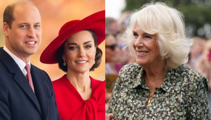 Kate Middleton, Prince William share delightful message to honour Camilla