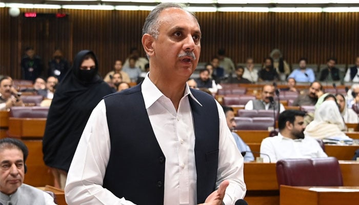 Opposition Leader in the National Assembly Omar Ayub Khan addressing the house on July 9, 2024. — X/@NAofPakistan