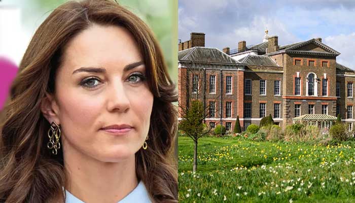 Expert makes big claim about Kate Middletons future public appearance