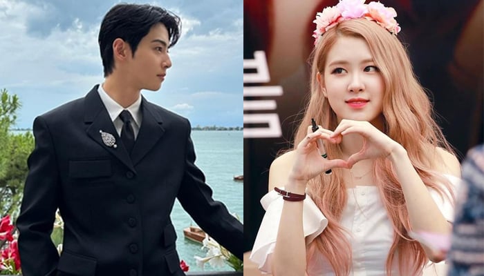 Rosé and Cha Eun Woo fueled dating rumours with recent coincidences