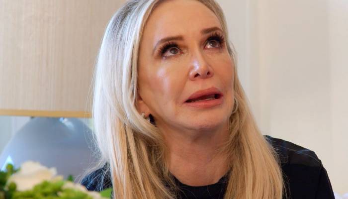 Shannon Beador was involved in a drunken hit-and-run last September