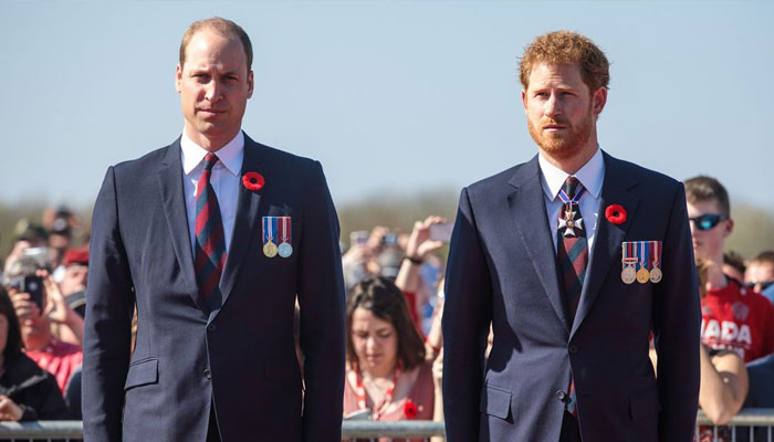 ‘Estranged’ Prince William, Prince Harry unite for meaningful gesture