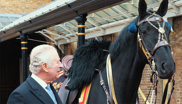 Tourists unfortunate encounter with King Charles guard horse in London.