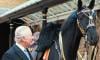 King Charles' guard horse bites tourist at historic palace
