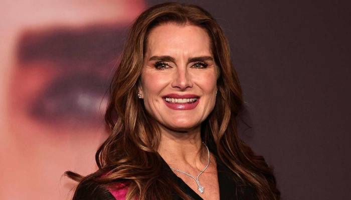 Brooke Shields reflects on her motherhood journey