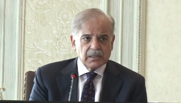 Prime Minister Shahbaz Sharif addresses media after federal cabinets meeting in Islamabad, Pakistan on July 24, 2024. — Screengrab/Geo News Live