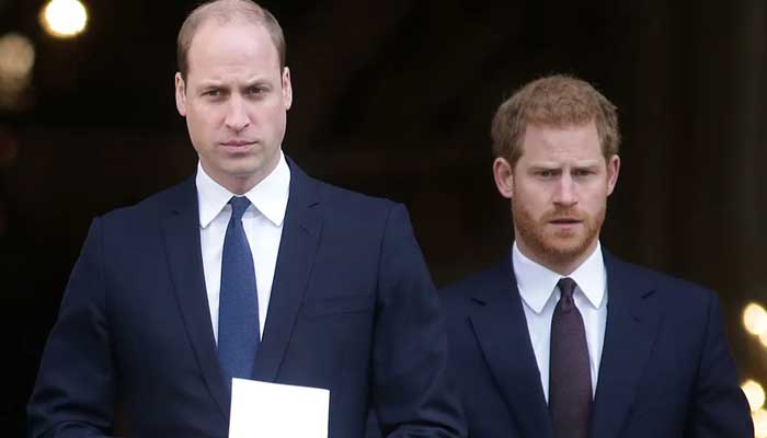 Prince Harry makes new bombshell claims about relationship with King Charles , Prince William