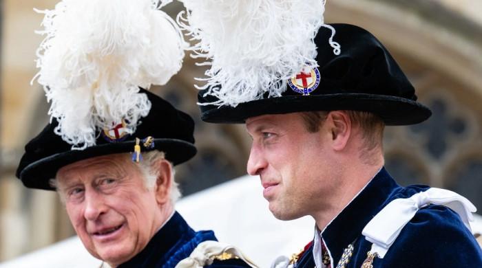 Prince William, King Charles' different business strategies laidbare