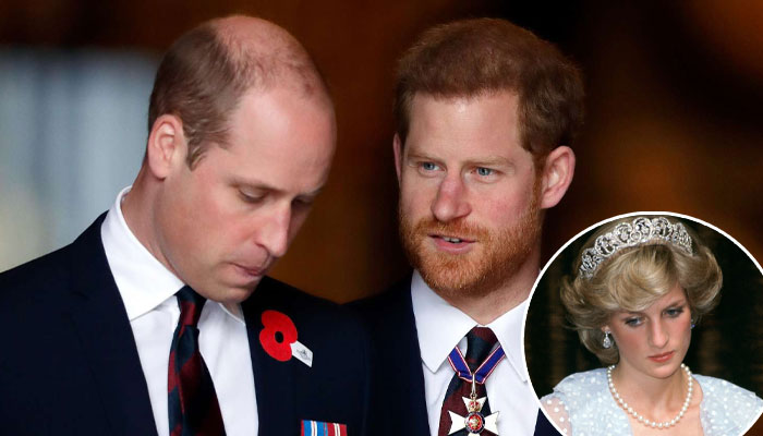 Prince Harry defends late mom Diana from Prince William’s harsh comments