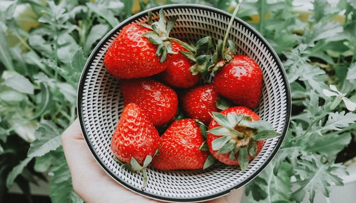 A person holding a bowl of strawberries. — Unsplash/File