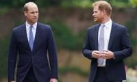 Prince Harry Makes New 'flood Of Tears' Statement Against Prince William