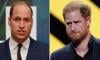 Prince Harry wishes for Prince William to join key 'mission'