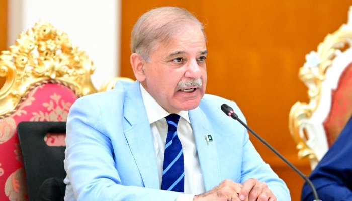 Prime Minister Shehbaz Sharif addressing a meeting in Dushanbe, Tajikistan, on July 2, 2024. —Facebook/@ShehbazSharif