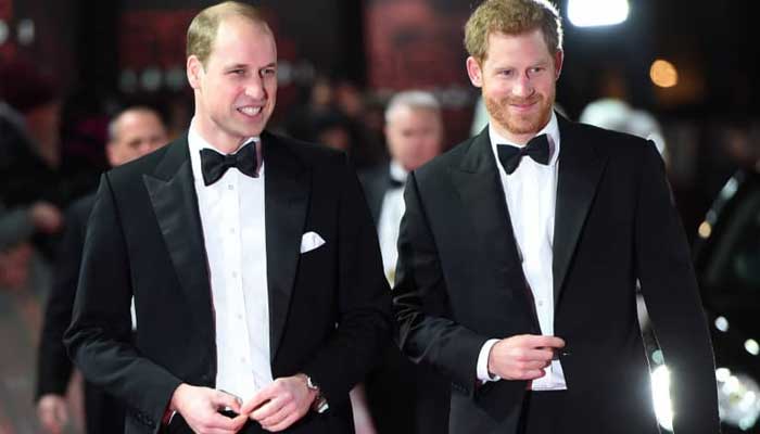 Prince William, Harry seen ignoring each other at huge royal event