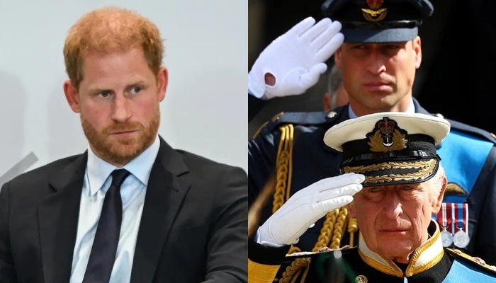 Prince Harry given key advice amid feud with William, King Charles