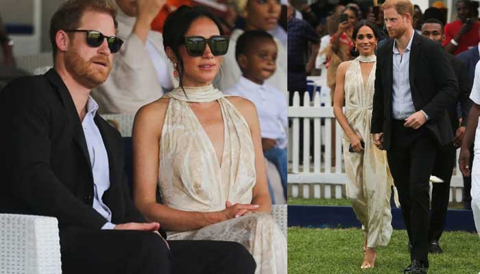 Prince Harry, Meghan Markle devastated after heinous incident