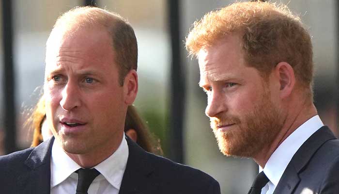 Prince William, Harry in shock as they lose beloved family member