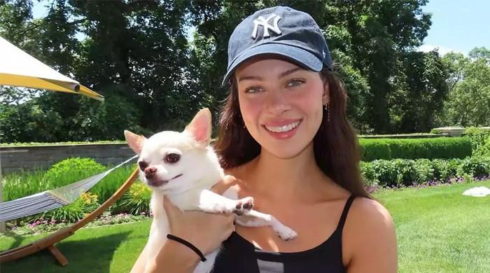 Nicola Peltz Beckham files lawsuit against groomer after chihuahua’s death