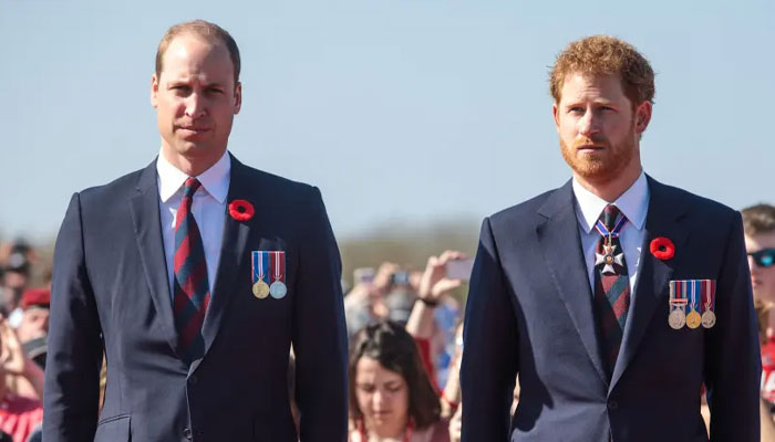 Prince William gives hope to distressed Prince Harry