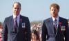 Prince William gives hope to 'distressed' Prince Harry
