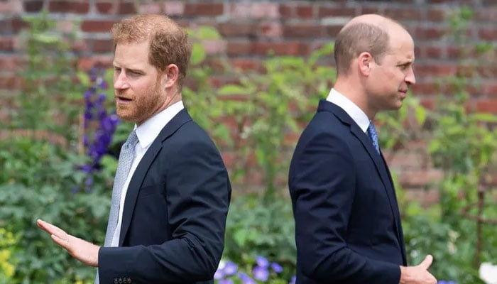 Prince Harry and Prince William’s public appearances remain limited amidst ongoing rift.