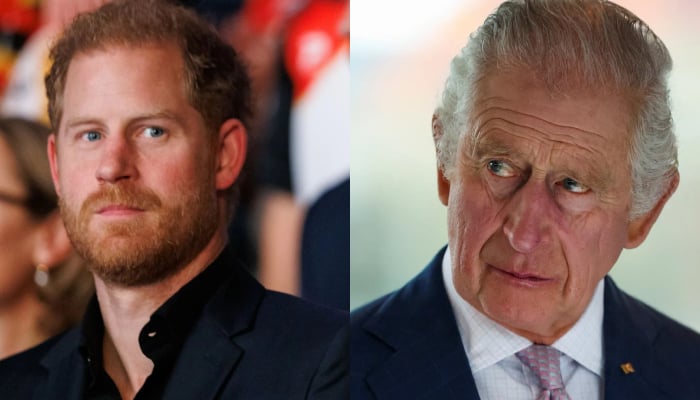 Prince Harry makes shocking claim about King Charles amid security threats