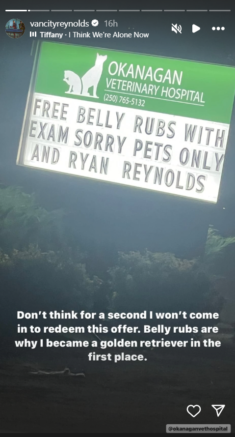 Ryan Reynolds cashes in on ‘free belly rubs’ offer: Don’t think I won’t