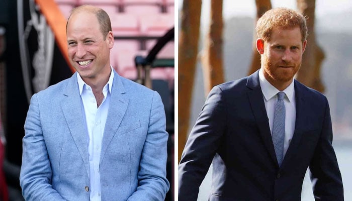 Prince William delights Britons with noble move as Harry reveals UK plans