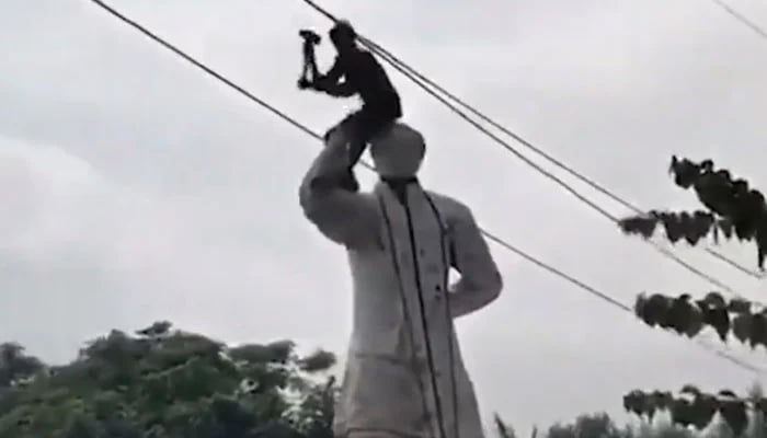 A protester is seen sitting atop the huge statue of Sheikh Hasinas father, Sheikh Mujibur Rehman. — Screengrab/Social Media