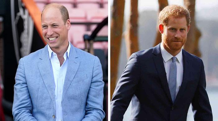 Prince William delights Britons with noble move as Harry reveals UK plans