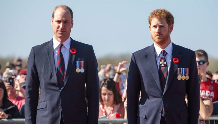 Prince Harry, Prince William get last chance to mend rift