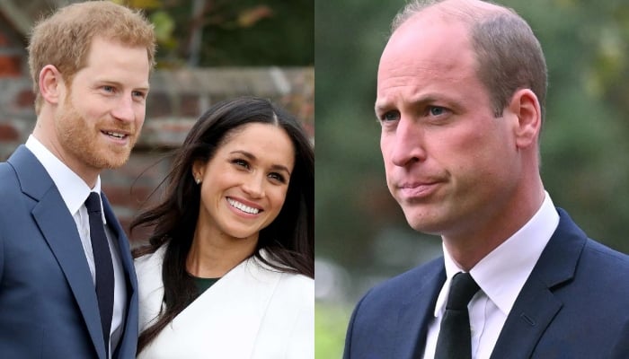 Prince Harry, Meghan Markle proved William wrong with 'marital bliss'