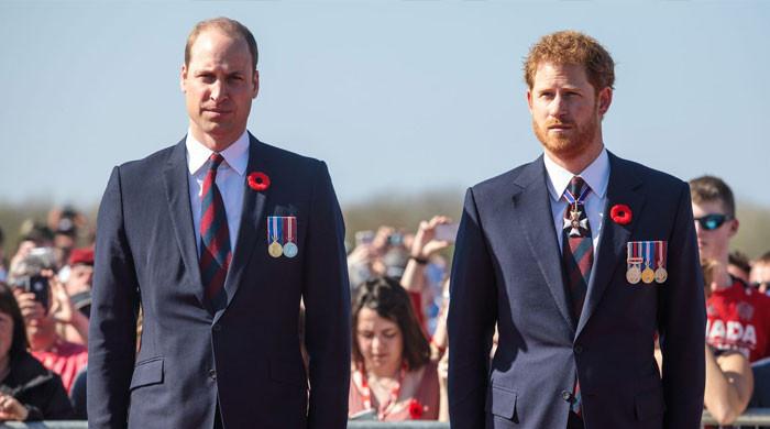 Prince Harry, Prince William get last chance to mend rift