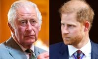 King Charles Suffers Heartbreak As Prince Harry Decides To Widen Rift 