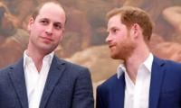 Prince William, Harry’s Reunion Expected As Key Royal Makes Big Plans