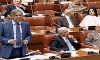 Senate Okays Election Amendment Bill To 'circumvent' SC Ruling On Reserved Seats