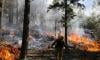 Intense blaze demolishes California's San Bernardino neighbourhood