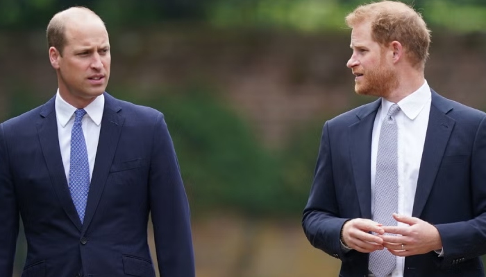 Prince William reacts to Harry being rewarded with royal tressure