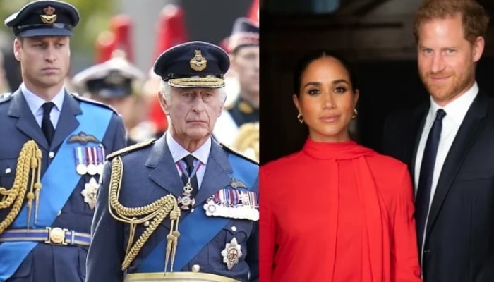 Harry, Meghan given security warning amid Charles, William feared stance – The News International