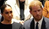 Prince Harry, Meghan Markle Bow To Circumstances: 'giving Up'