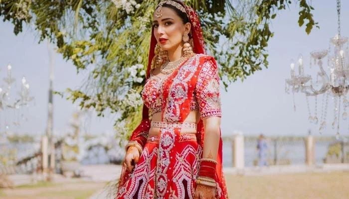 Ushna Shah  poses on her wedding day wearing a red choli dress. — Instagram/@wardhasaleemofficial/File