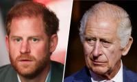 Prince Harry Expected Big Favour From King Charles Despite Causing Hurt