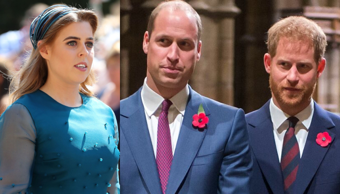 Princess Beatrice takes shocking step amid Prince William, Harrys feud