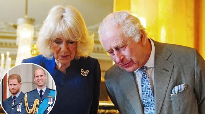 Camilla fills King Charles' ears with 'whispers' about William, Harry