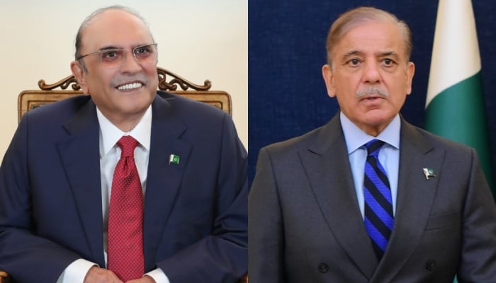 President Asif Ali Zardari (left) and Prime Minister Shehbaz Sharif. — APP/Facebook/Mian Shehbaz Sharif